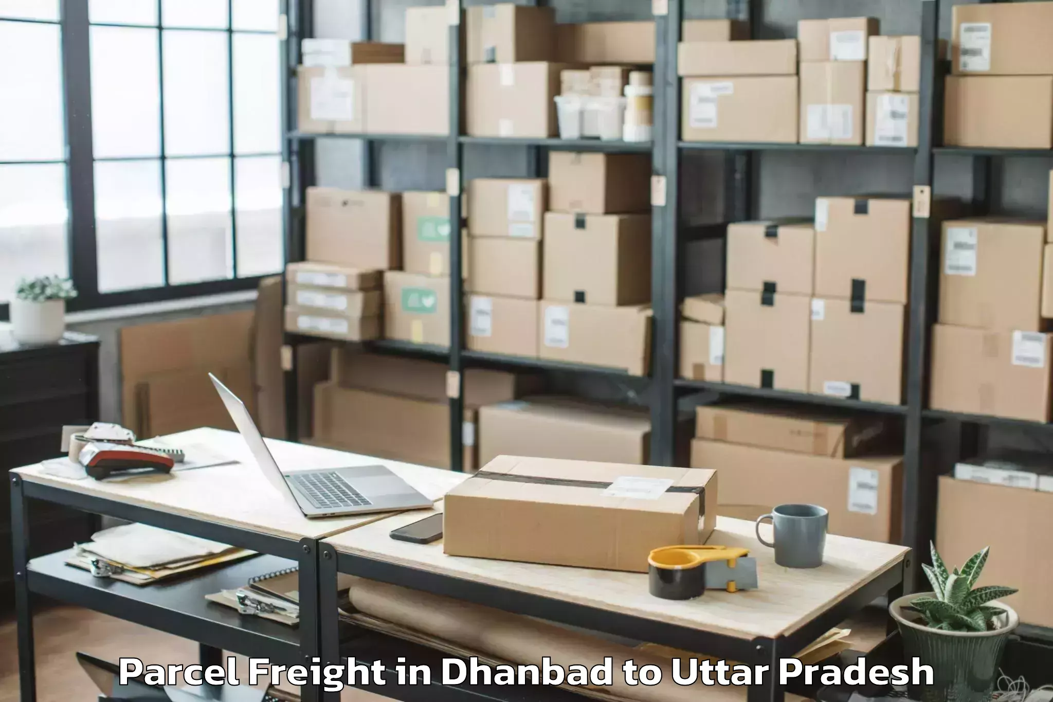 Book Dhanbad to Pahasu Parcel Freight